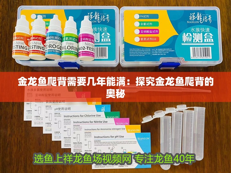 金龍魚爬背需要幾年能滿：探究金龍魚爬背的奧秘 金龍魚爬背需要幾年能滿：探究金龍魚爬背的奧秘 水族問答