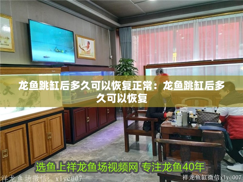 龍魚跳缸后多久可以恢復正常：龍魚跳缸后多久可以恢復