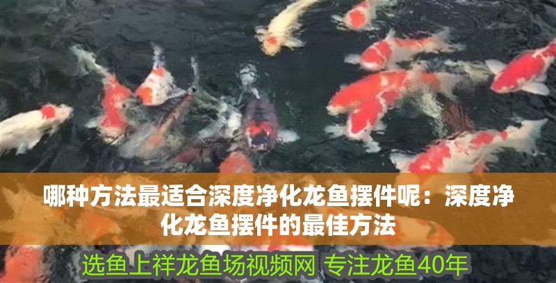 哪種方法最適合深度凈化龍魚擺件呢：深度凈化龍魚擺件的最佳方法