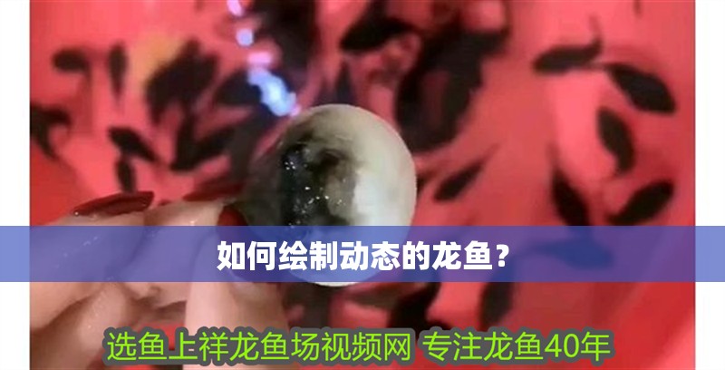 如何繪制動態(tài)的龍魚？