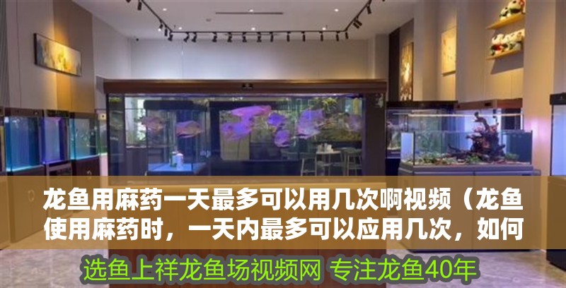 魚缸用增氧泵價格是多少:魚缸增氧機-xtrac增氧機-xtrac增氧機 龍魚用麻藥一天最多可以用幾次啊視頻(龍魚使用麻藥時,一天內(nèi)最多可以應(yīng)用幾次,如何確保使用頻率) 觀賞魚百科 龍魚用麻藥一天最多可以用幾次啊視頻(龍魚使用麻藥時,一天內(nèi)最多可以應(yīng)用幾次,如何確保使用頻率) 龍魚用麻藥一天最多可以用幾次啊視頻(龍魚使用麻藥時,一天內(nèi)最多可以應(yīng)用幾次,如何確保使用頻率) 觀賞魚百科