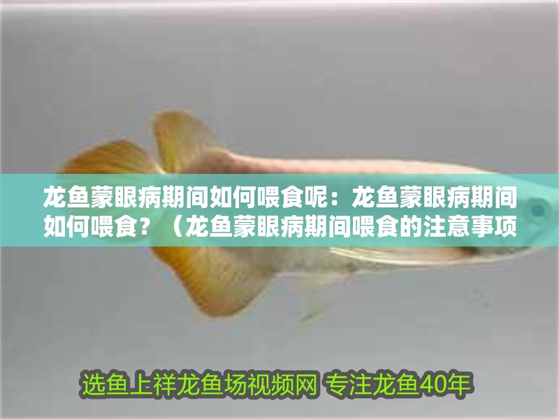 龍魚蒙眼病期間如何喂食呢：龍魚蒙眼病期間如何喂食？（龍魚蒙眼病期間喂食的注意事項） 龍魚蒙眼病期間如何喂食呢：龍魚蒙眼病期間如何喂食？（龍魚蒙眼病期間喂食的注意事項） 水族問答