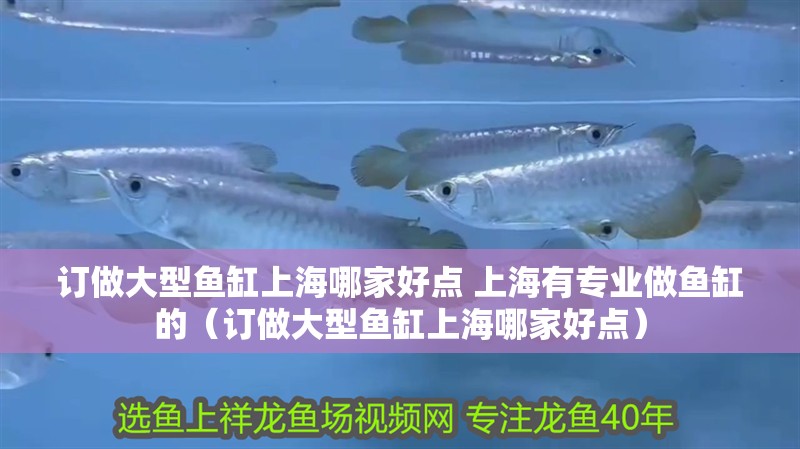 給大魚缸換水的頻率是固定的,而是需要根據多種因素來確定:給大魚缸換水的頻率不是固定的,而是需要根據多種因素來確定 訂做大型魚缸上海哪家好點 上海有專業做魚缸的(訂做大型魚缸上海哪家好點) 觀賞魚百科 訂做大型魚缸上海哪家好點 上海有專業做魚缸的(訂做大型魚缸上海哪家好點) 訂做大型魚缸上海哪家好點 上海有專業做魚缸的(訂做大型魚缸上海哪家好點) 觀賞魚百科