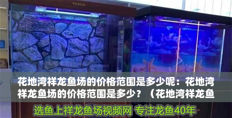 花地灣祥龍魚場的價格范圍是多少呢：花地灣祥龍魚場的價格范圍是多少？（花地灣祥龍魚場價格范圍是多少）