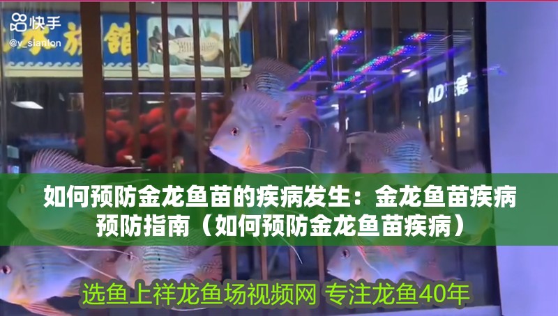 如何預防金龍魚苗的疾病發生：金龍魚苗疾病預防指南（如何預防金龍魚苗疾病）