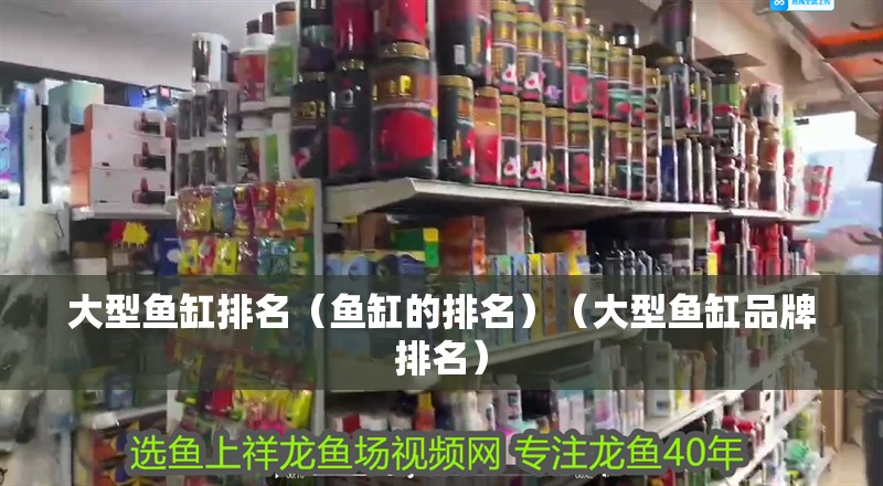 魚缸用增氧泵價格是多少:魚缸增氧機-xtrac增氧機-xtrac增氧機 大型魚缸排名(魚缸的排名)(大型魚缸品牌排名) 觀賞魚百科 大型魚缸排名(魚缸的排名)(大型魚缸品牌排名) 大型魚缸排名(魚缸的排名)(大型魚缸品牌排名) 觀賞魚百科