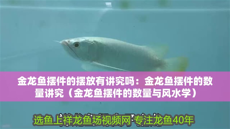 金龍魚擺件的擺放有講究嗎：金龍魚擺件的數量講究（金龍魚擺件的數量與風水學）