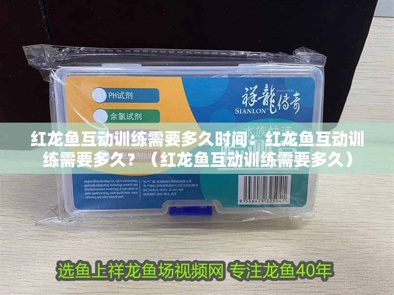 紅龍魚(yú)互動(dòng)訓(xùn)練需要多久時(shí)間：紅龍魚(yú)互動(dòng)訓(xùn)練需要多久？（紅龍魚(yú)互動(dòng)訓(xùn)練需要多久）