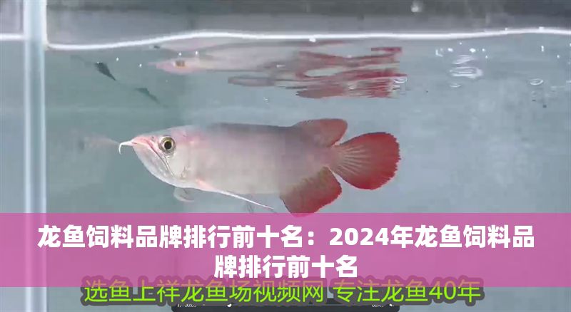 龍魚(yú)飼料品牌排行前十名：2024年龍魚(yú)飼料品牌排行前十名