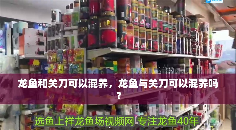 龍魚和關刀可以混養，龍魚與關刀可以混養嗎？