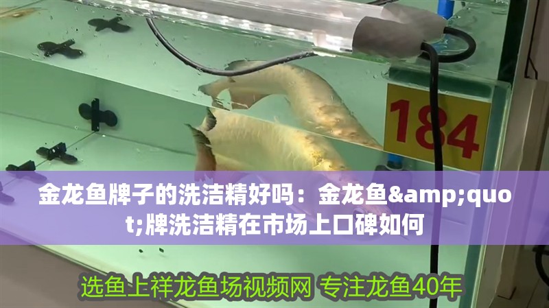 金龍魚牌子的洗潔精好嗎：金龍魚"牌洗潔精在市場上口碑如何