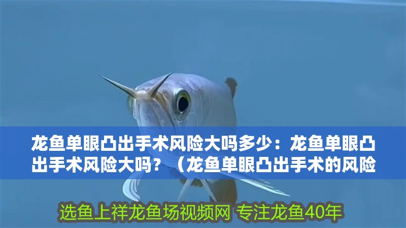 龍魚單眼凸出手術(shù)風(fēng)險大嗎多少：龍魚單眼凸出手術(shù)風(fēng)險大嗎？（龍魚單眼凸出手術(shù)的風(fēng)險）