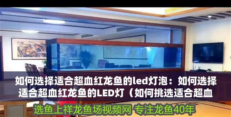 如何選擇適合超血紅龍魚的led燈泡：如何選擇適合超血紅龍魚的LED燈（如何挑選適合超血紅龍魚的led燈） 如何選擇適合超血紅龍魚的led燈泡：如何選擇適合超血紅龍魚的LED燈（如何挑選適合超血紅龍魚的led燈） 水族問答