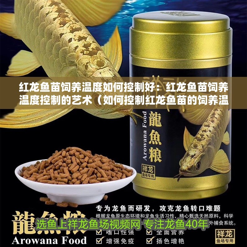 紅龍魚苗飼養溫度如何控制好：紅龍魚苗飼養溫度控制的藝術（如何控制紅龍魚苗的飼養溫度） 紅龍魚苗飼養溫度如何控制好：紅龍魚苗飼養溫度控制的藝術（如何控制紅龍魚苗的飼養溫度） 水族問答