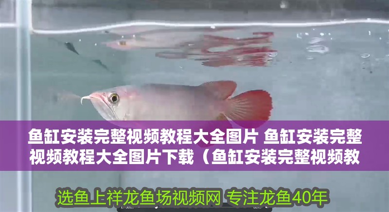 魚缸安裝完整視頻教程大全圖片 魚缸安裝完整視頻教程大全圖片下載（魚缸安裝完整視頻教程大全圖片） 魚缸安裝完整視頻教程大全圖片 魚缸安裝完整視頻教程大全圖片下載（魚缸安裝完整視頻教程大全圖片） 觀賞魚百科
