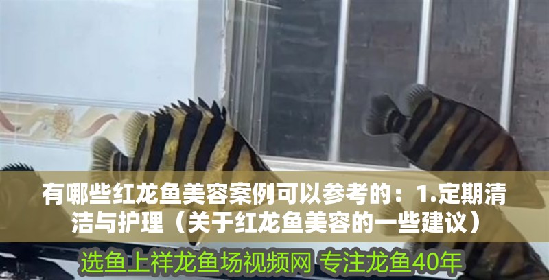 有哪些紅龍魚美容案例可以參考的：1.定期清潔與護理（關于紅龍魚美容的一些建議）