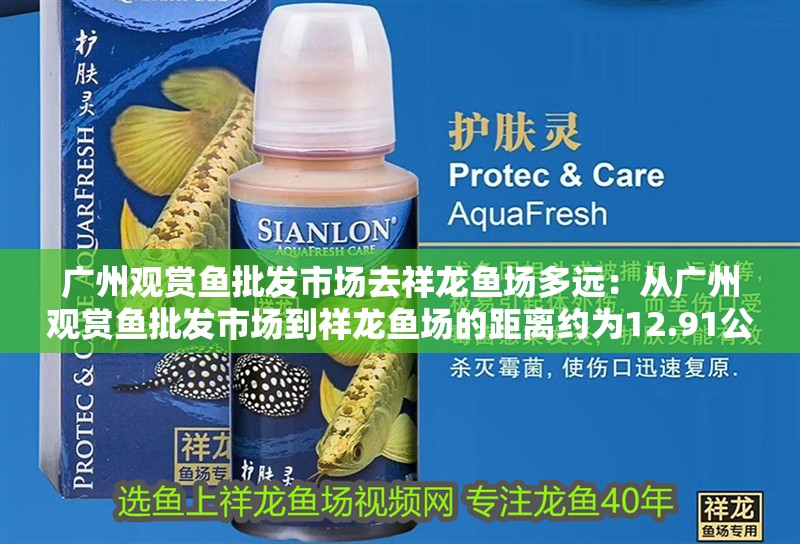廣州觀賞魚批發(fā)市場(chǎng)去祥龍魚場(chǎng)多遠(yuǎn)：從廣州觀賞魚批發(fā)市場(chǎng)到祥龍魚場(chǎng)的距離約為12.91公里