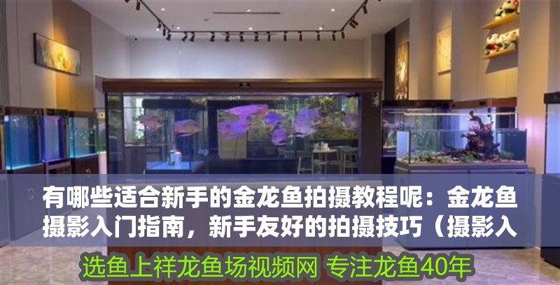 有哪些適合新手的金龍魚拍攝教程呢：金龍魚攝影入門指南，新手友好的拍攝技巧（攝影入門指南：金龍魚攝影入門指南：適合新手拍攝的技巧） 有哪些適合新手的金龍魚拍攝教程呢：金龍魚攝影入門指南，新手友好的拍攝技巧（攝影入門指南：金龍魚攝影入門指南：適合新手拍攝的技巧） 水族問答