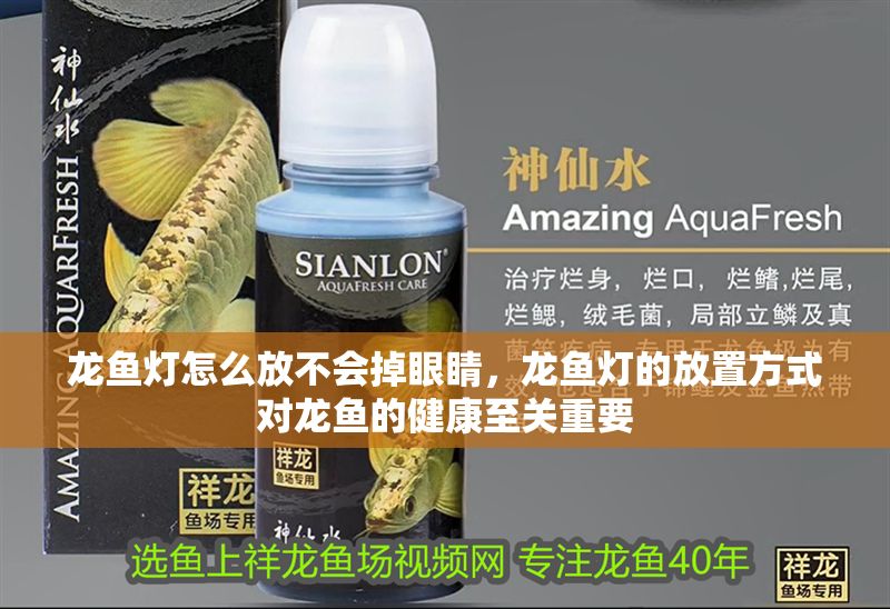 龍魚燈怎么放不會掉眼睛，龍魚燈的放置方式對龍魚的健康至關重要