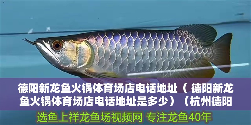 德陽新龍魚火鍋體育場店電話地址（ 德陽新龍魚火鍋體育場店電話地址是多少）（杭州德陽新龍魚火鍋體育場店電話安全問題在哪里）