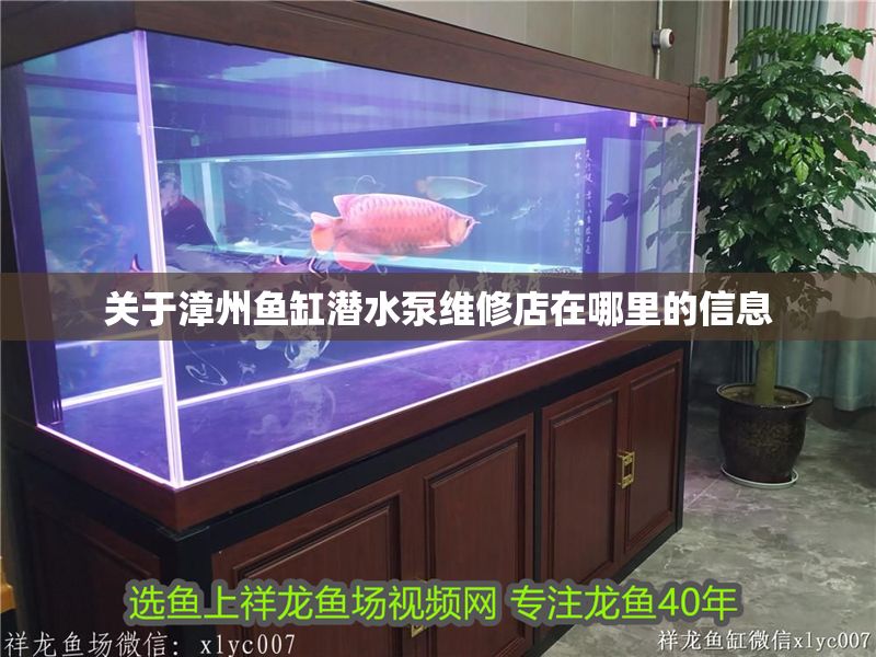 關于漳州魚缸潛水泵維修店在哪里的信息 關于漳州魚缸潛水泵維修店在哪里的信息 全國水族館企業名錄 第1張