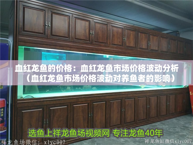 血紅龍魚(yú)的價(jià)格：血紅龍魚(yú)市場(chǎng)價(jià)格波動(dòng)分析（血紅龍魚(yú)市場(chǎng)價(jià)格波動(dòng)對(duì)養(yǎng)魚(yú)者的影響）