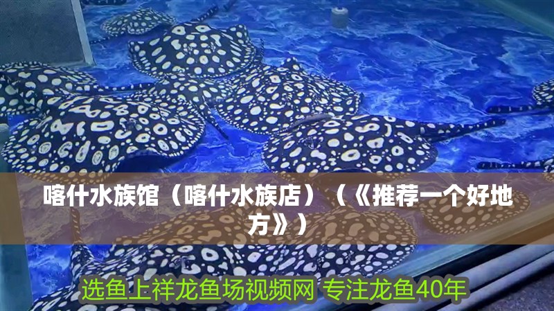 喀什水族館（喀什水族店）（《推薦一個好地方》） 喀什水族館（喀什水族店）（《推薦一個好地方》） 觀賞魚百科