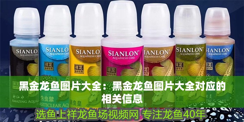 黑金龍魚圖片大全：黑金龍魚圖片大全對應的相關信息