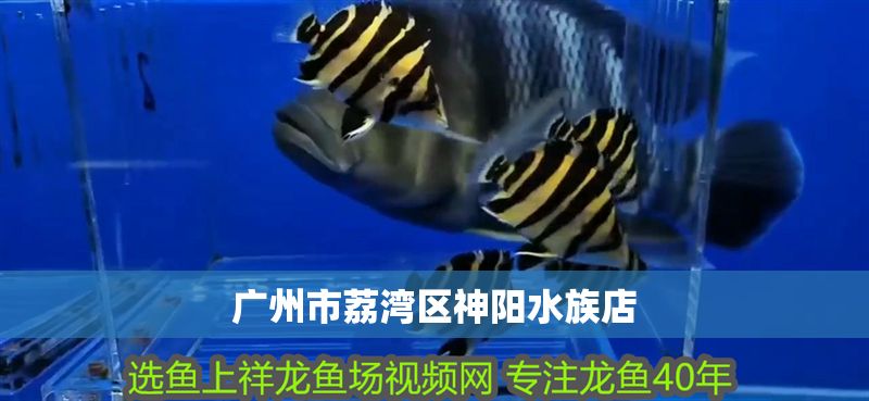 廣州市荔灣區(qū)神陽水族店