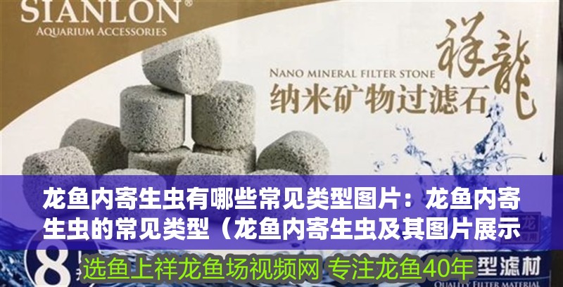 虎魚天天黑來點赤瞳黃金 龍魚內寄生蟲有哪些常見類型圖片:龍魚內寄生蟲的常見類型(龍魚內寄生蟲及其圖片展示龍魚的生命周期包括卵、幼蟲、成蟲) 水族問答 龍魚內寄生蟲有哪些常見類型圖片:龍魚內寄生蟲的常見類型(龍魚內寄生蟲及其圖片展示龍魚的生命周期包括卵、幼蟲、成蟲) 龍魚內寄生蟲有哪些常見類型圖片:龍魚內寄生蟲的常見類型(龍魚內寄生蟲及其圖片展示龍魚的生命周期包括卵、幼蟲、成蟲) 水族問答