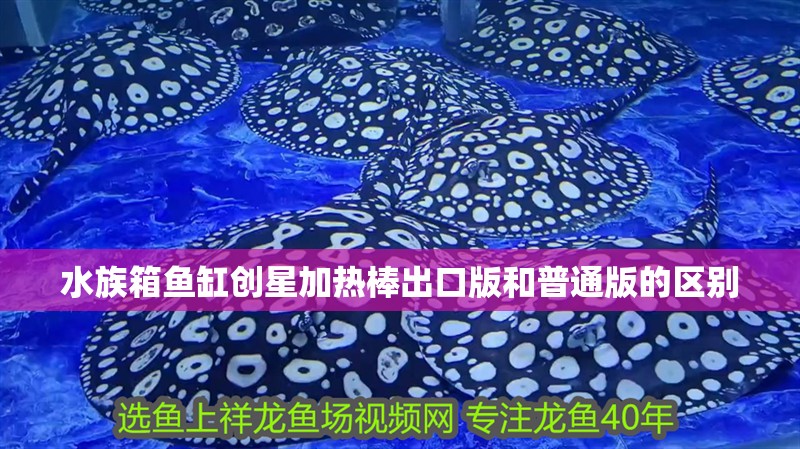 水族箱魚缸創星加熱棒出口版和普通版的區別 水族箱魚缸創星加熱棒出口版和普通版的區別 觀賞魚百科