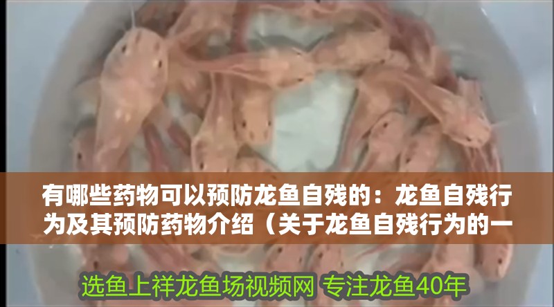 有哪些藥物可以預防龍魚自殘的：龍魚自殘行為及其預防藥物介紹（關于龍魚自殘行為的一些建議）