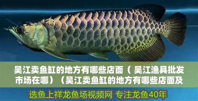 我的虎魚真菌感染了要怎么處理 吳江賣魚缸的地方有哪些店面( 吳江漁具批發市場在哪)(吳江賣魚缸的地方有哪些店面及石家莊魚缸批發市場) 觀賞魚百科 吳江賣魚缸的地方有哪些店面( 吳江漁具批發市場在哪)(吳江賣魚缸的地方有哪些店面及石家莊魚缸批發市場) 吳江賣魚缸的地方有哪些店面( 吳江漁具批發市場在哪)(吳江賣魚缸的地方有哪些店面及石家莊魚缸批發市場) 觀賞魚百科