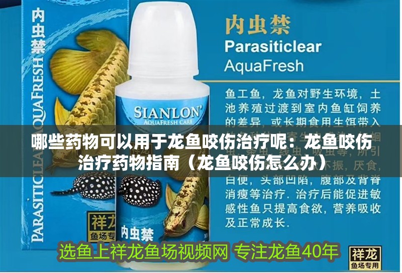 哪些藥物可以用于龍魚咬傷治療呢：龍魚咬傷治療藥物指南（龍魚咬傷怎么辦） 哪些藥物可以用于龍魚咬傷治療呢：龍魚咬傷治療藥物指南（龍魚咬傷怎么辦） 水族問答