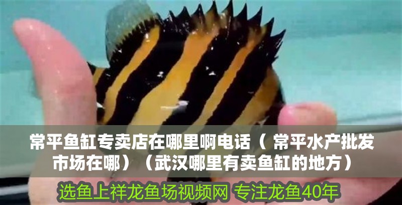 魚缸用增氧泵價格是多少:魚缸增氧機-xtrac增氧機-xtrac增氧機 常平魚缸專賣店在哪里啊電話( 常平水產批發市場在哪)(武漢哪里有賣魚缸的地方) 觀賞魚百科 常平魚缸專賣店在哪里啊電話( 常平水產批發市場在哪)(武漢哪里有賣魚缸的地方) 常平魚缸專賣店在哪里啊電話( 常平水產批發市場在哪)(武漢哪里有賣魚缸的地方) 觀賞魚百科