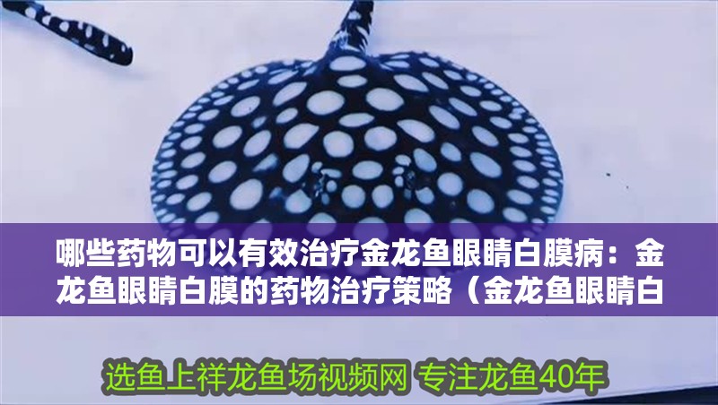 哪些藥物可以有效治療金龍魚眼睛白膜病：金龍魚眼睛白膜的藥物治療策略（金龍魚眼睛白膜病使用方法）