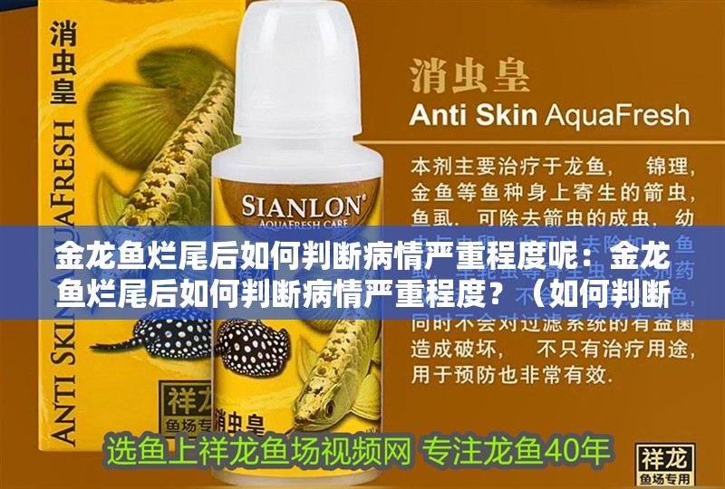 金龍魚爛尾后如何判斷病情嚴重程度呢：金龍魚爛尾后如何判斷病情嚴重程度？（如何判斷金龍魚爛尾的嚴重程度）