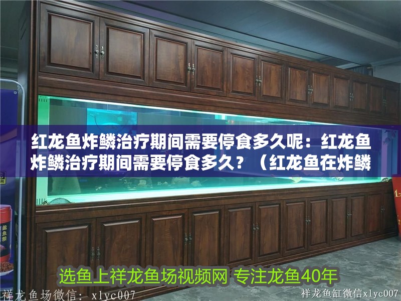 紅龍魚炸鱗治療期間需要停食多久呢：紅龍魚炸鱗治療期間需要停食多久？（紅龍魚在炸鱗病治療期間的停食時間取決于病情的嚴重程度） 紅龍魚炸鱗治療期間需要停食多久呢：紅龍魚炸鱗治療期間需要停食多久？（紅龍魚在炸鱗病治療期間的停食時間取決于病情的嚴重程度） 水族問答