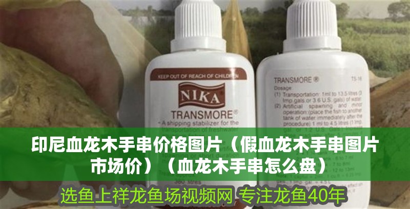 魚缸用增氧泵價格是多少:魚缸增氧機-xtrac增氧機-xtrac增氧機 印尼血龍木手串價格圖片(假血龍木手串圖片 市場價)(血龍木手串怎么盤) 觀賞魚百科 印尼血龍木手串價格圖片(假血龍木手串圖片 市場價)(血龍木手串怎么盤) 印尼血龍木手串價格圖片(假血龍木手串圖片 市場價)(血龍木手串怎么盤) 觀賞魚百科