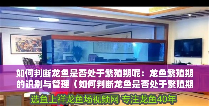 魚缸用增氧泵價(jià)格是多少:魚缸增氧機(jī)-xtrac增氧機(jī)-xtrac增氧機(jī) 如何判斷龍魚是否處于繁殖期呢:龍魚繁殖期的識(shí)別與管理(如何判斷龍魚是否處于繁殖期) 水族問答 如何判斷龍魚是否處于繁殖期呢:龍魚繁殖期的識(shí)別與管理(如何判斷龍魚是否處于繁殖期) 如何判斷龍魚是否處于繁殖期呢:龍魚繁殖期的識(shí)別與管理(如何判斷龍魚是否處于繁殖期) 水族問答