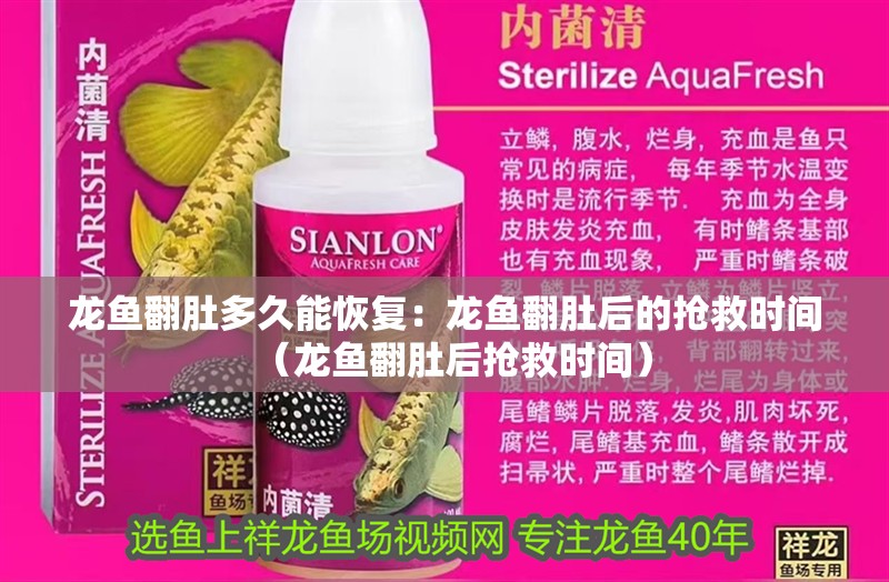 魚缸用增氧泵價格是多少:魚缸增氧機-xtrac增氧機-xtrac增氧機 龍魚翻肚多久能恢復(fù):龍魚翻肚后的搶救時間(龍魚翻肚后搶救時間) 水族問答 龍魚翻肚多久能恢復(fù):龍魚翻肚后的搶救時間(龍魚翻肚后搶救時間) 龍魚翻肚多久能恢復(fù):龍魚翻肚后的搶救時間(龍魚翻肚后搶救時間) 水族問答