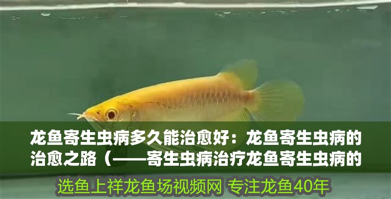龍魚寄生蟲病多久能治愈好：龍魚寄生蟲病的治愈之路（——寄生蟲病治療龍魚寄生蟲病的治療建議）