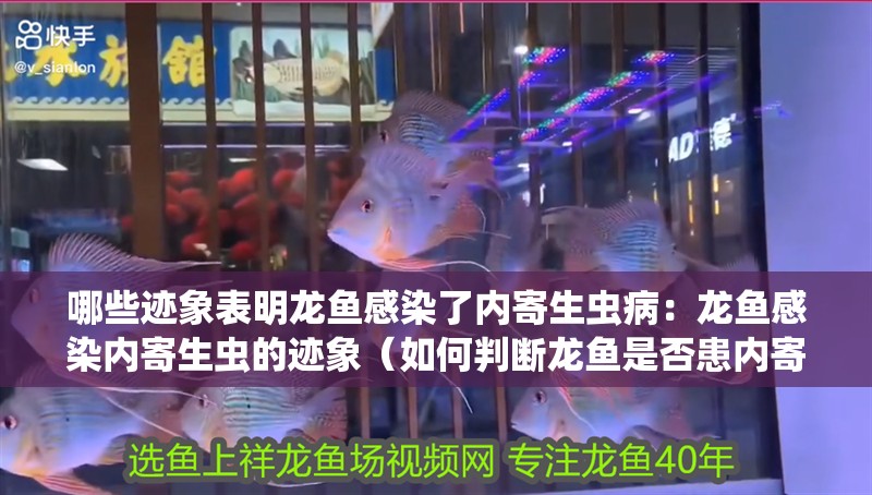 哪些跡象表明龍魚感染了內寄生蟲病：龍魚感染內寄生蟲的跡象（如何判斷龍魚是否患內寄生蟲） 哪些跡象表明龍魚感染了內寄生蟲病：龍魚感染內寄生蟲的跡象（如何判斷龍魚是否患內寄生蟲） 水族問答