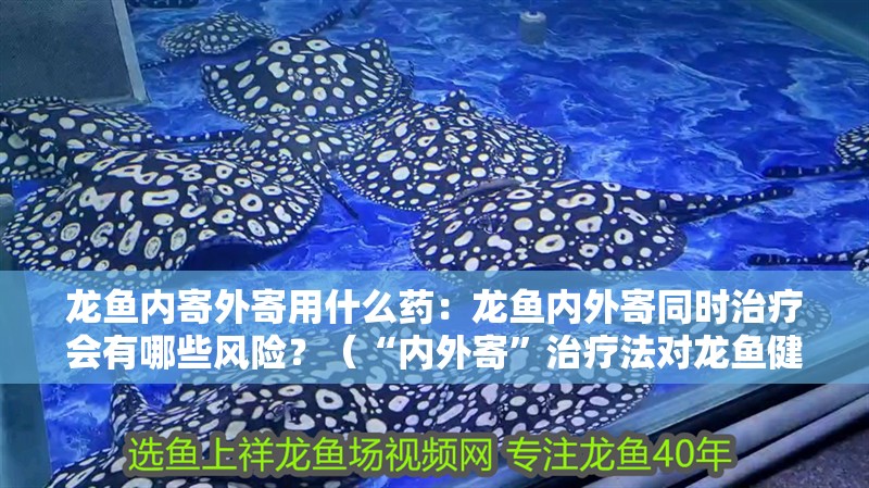 龍魚內寄外寄用什么藥：龍魚內外寄同時治療會有哪些風險？（“內外寄”治療法對龍魚健康有影響嗎？）