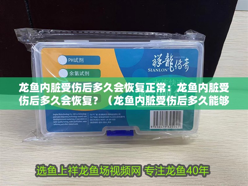 龍魚內臟受傷后多久會恢復正常：龍魚內臟受傷后多久會恢復？（龍魚內臟受傷后多久能夠恢復？）