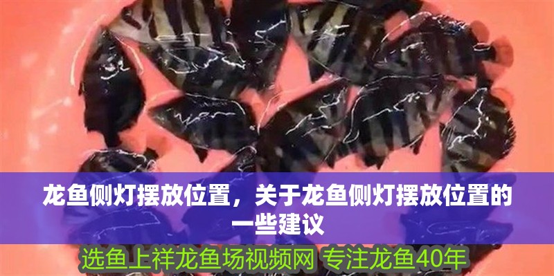 龍魚側燈擺放位置，關于龍魚側燈擺放位置的一些建議 龍魚側燈擺放位置，關于龍魚側燈擺放位置的一些建議 觀賞魚百科