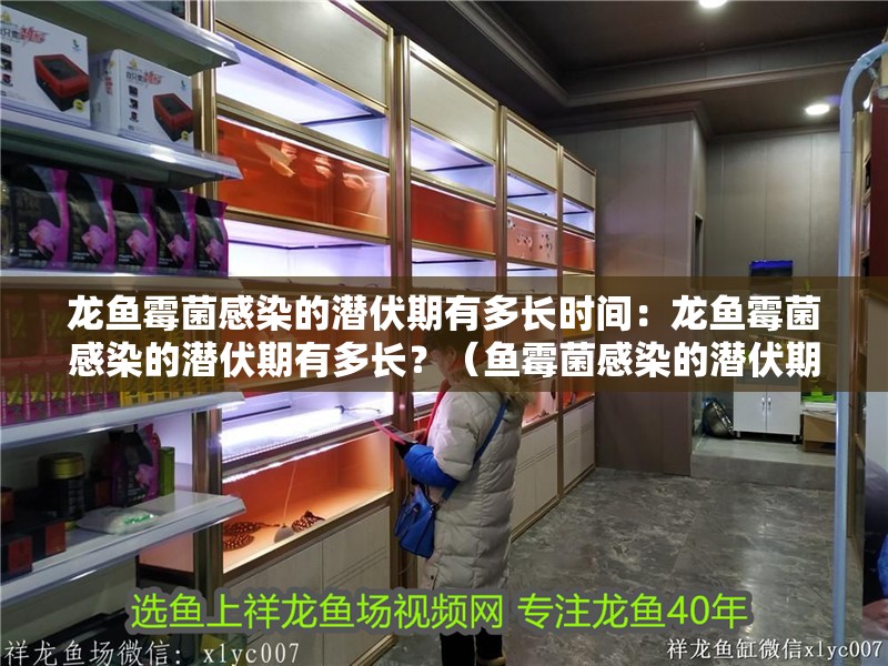 龍魚霉菌感染的潛伏期有多長時間：龍魚霉菌感染的潛伏期有多長？（魚霉菌感染的潛伏期通常為1至3周，具體時間可能因個體差異而異）