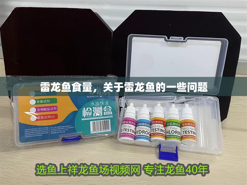 雷龍魚食量，關(guān)于雷龍魚的一些問題 雷龍魚食量，關(guān)于雷龍魚的一些問題 觀賞魚百科