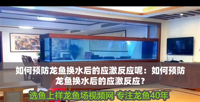 如何預(yù)防龍魚(yú)換水后的應(yīng)激反應(yīng)呢：如何預(yù)防龍魚(yú)換水后的應(yīng)激反應(yīng)？