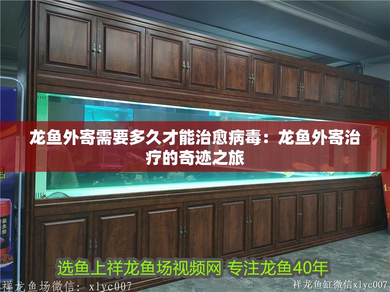 龍魚外寄需要多久才能治愈病毒：龍魚外寄治療的奇跡之旅